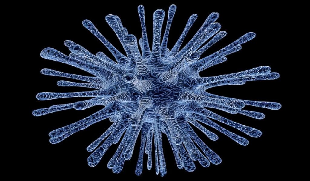 Relación entre la Infección por el Virus de Epstein Barr (EBV) y la Expresión de Proteínas del Choque Térmico en Linfoma de Hodgkin