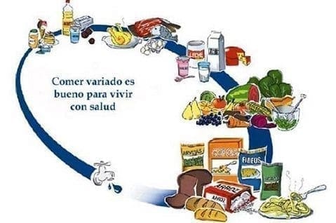 Necesidades Nutricionales
