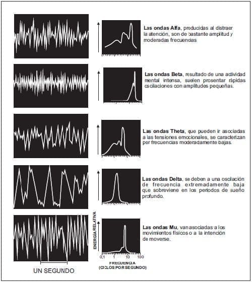 Ondas Cerebrales