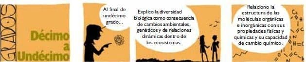 Grados Decimo y Undécimo