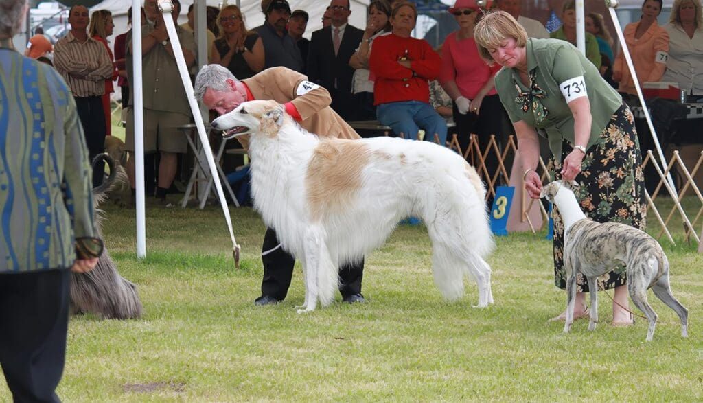 Reglamento de Exposiciones Caninas de la FCI