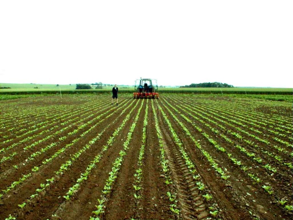 Repotenciar el sector productivo en Colombia