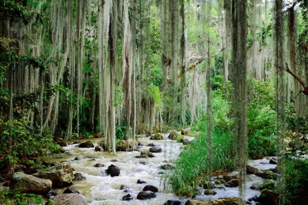 Recordando Nociones de Ecoturismo