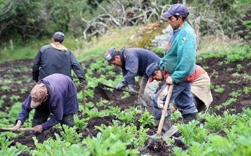 Campo con Progreso, Objetivos y estrategias