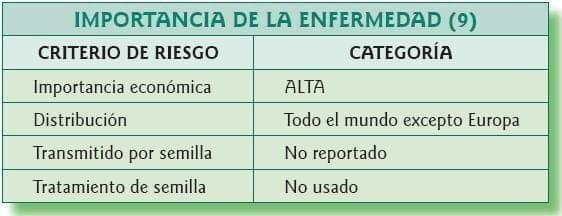 Importancia de la enfermedad del cáncer de los cítricos