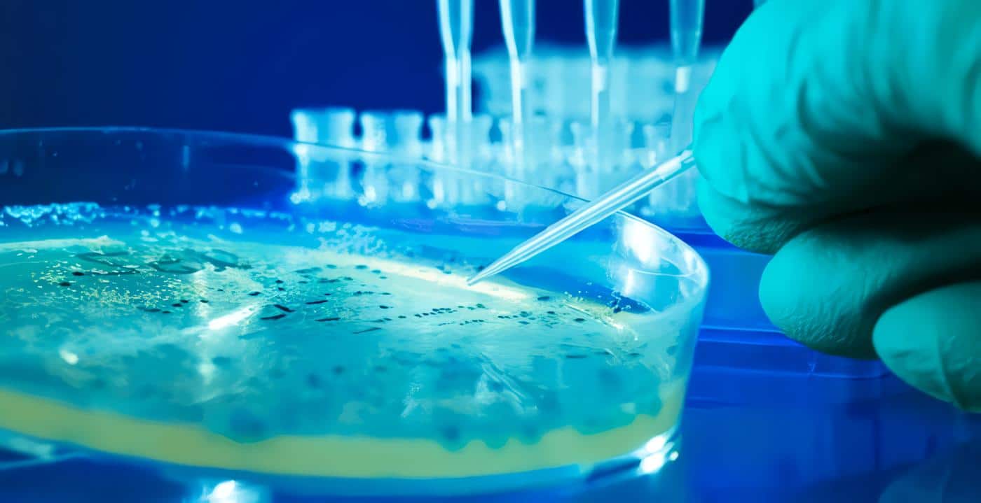 profesional-bacteriologia