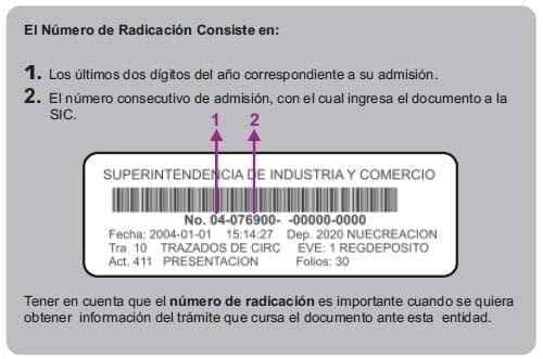 radicacion-esquema-de-trazado