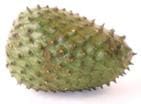 Guanabana ovoide