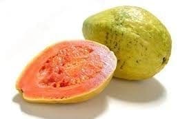 Fruto de la guayaba