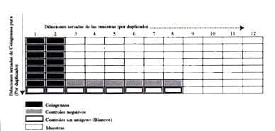 Diagrama del Montaje en la Prueba de Elisa