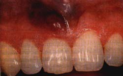 focvol57no19699-57c