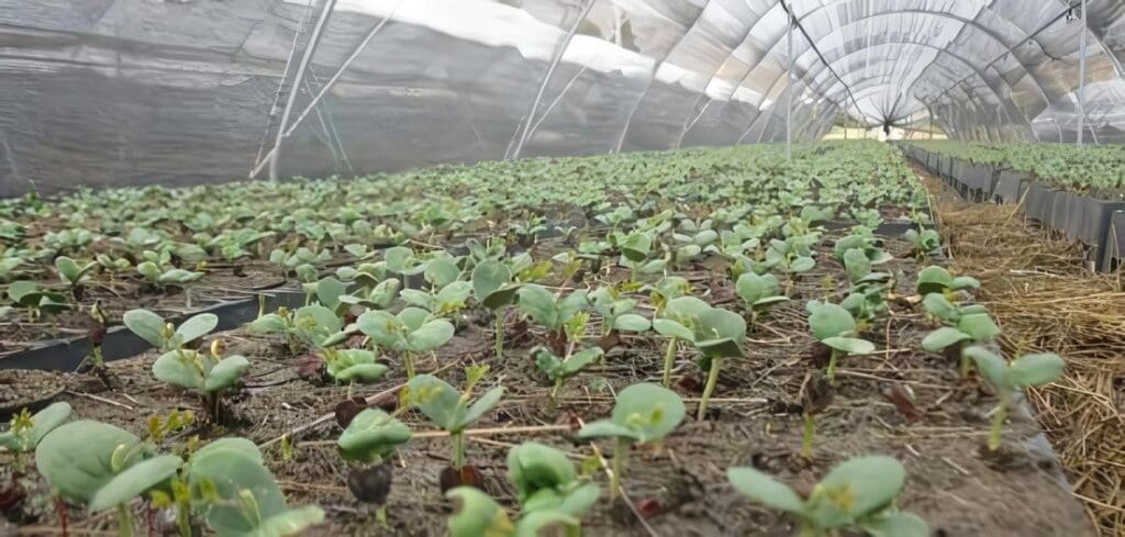 Medidas más Audaces para Mitigar Efectos del Cambio Climático