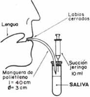Tubo colector trampa para la recolección de saliva