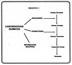 rfco-volumen-57-grafico5
