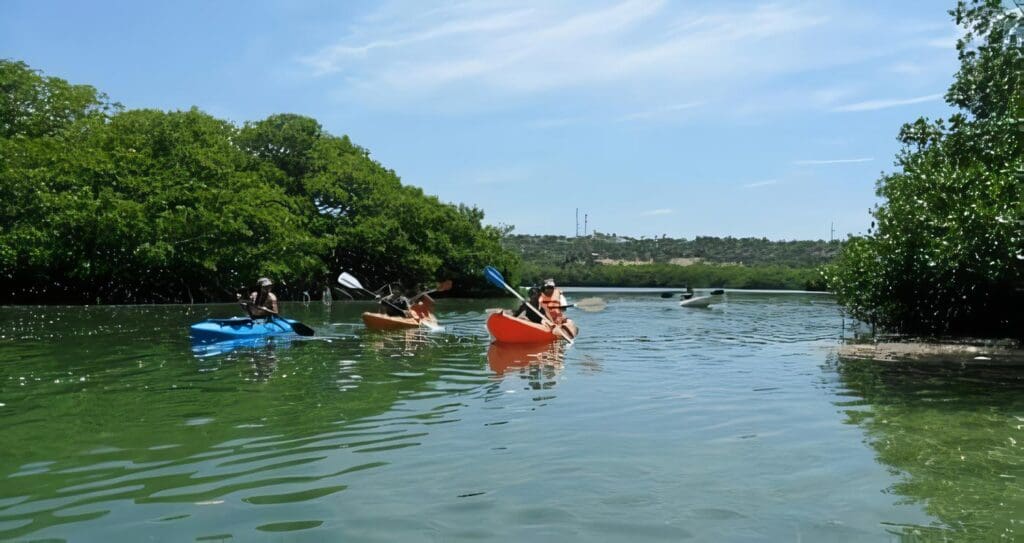 Servicios Ecoturísticos en Isla de Salamanca