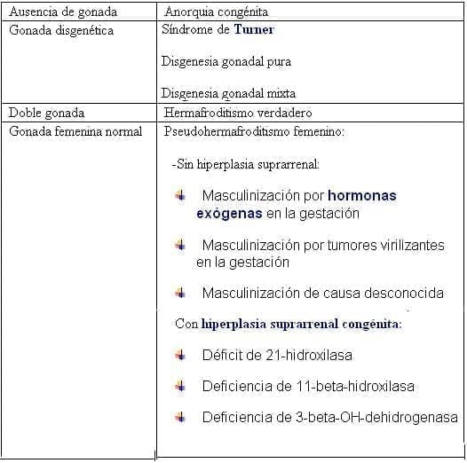 Herma1