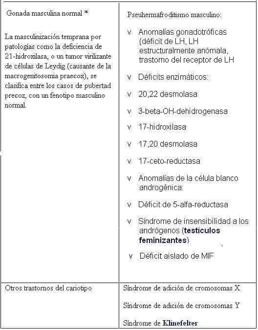 Herma2