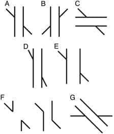 Ten138_fig1