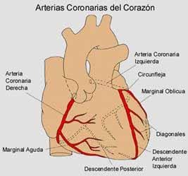 tensiometro30-fig1