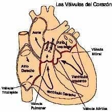 tensiometro31-fig2
