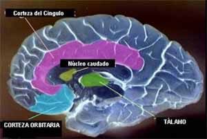 tensiometro61-imagen2