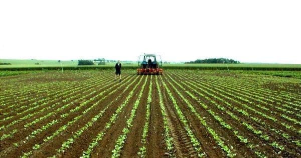 Presentación e Introducción en la Protección a la Producción Agropecuaria