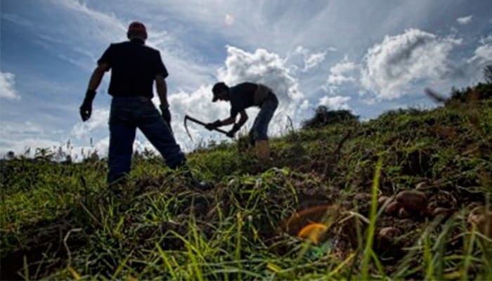 Seguimiento y Evaluación  del Servicio de Extensión Agropecuaria