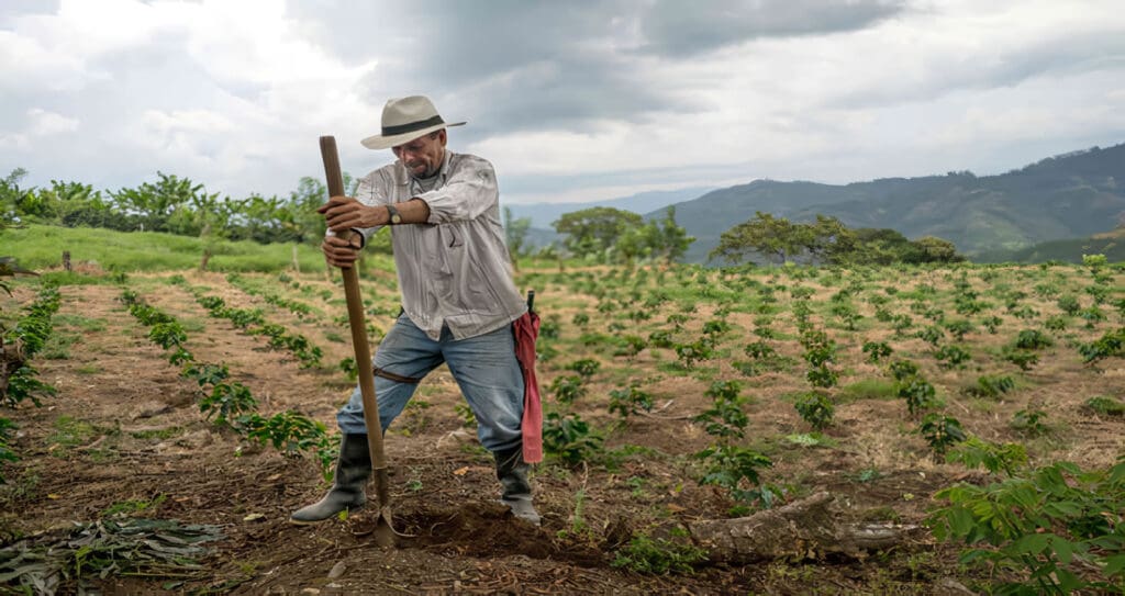 Sector agropecuario del Cauca