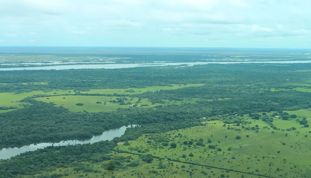 Recuperación de praderas en el Caribe colombiano