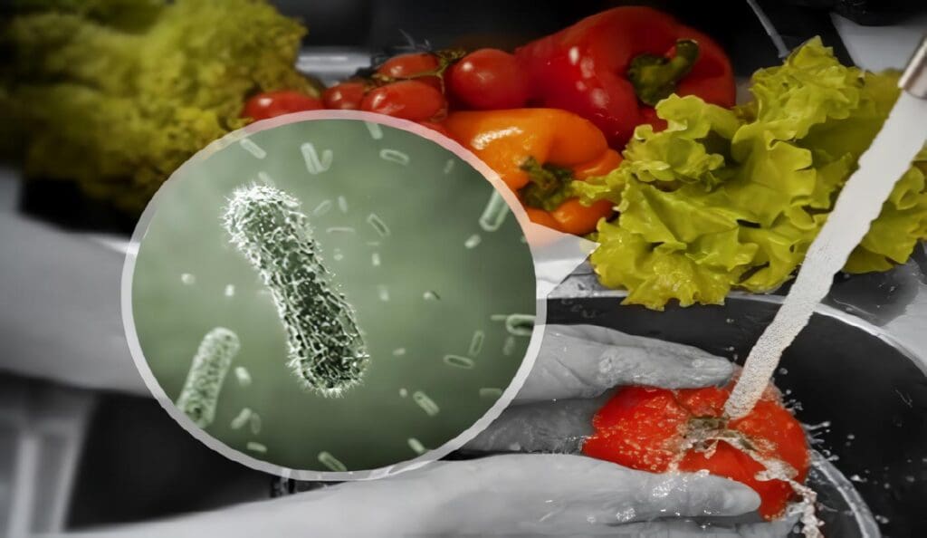 Accesos Entéricos en Soporte Nutricional del Paciente Adulto