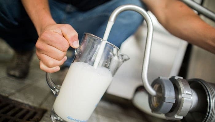 Leche Ultrapasteurizada en Empaques de Cartón Laminados con Foil de Aluminio