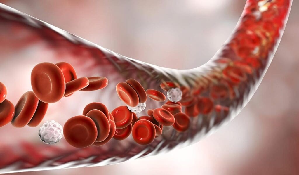 Infección del Torrente Sanguíneo asociada a Catéter de Nutrición Parenteral, Discusión