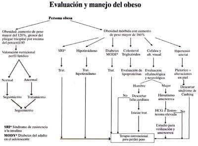 Evaluación y Manejo del Obeso