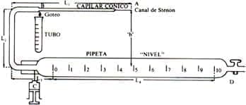 Técnica para Saliva de la Glándula de Parótida, Biología de la Saliva
