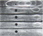 Análisis de proteínas por electroforesis, Biología de la Saliva Análisis de proteínas por electroforesis, Biología de la Saliva