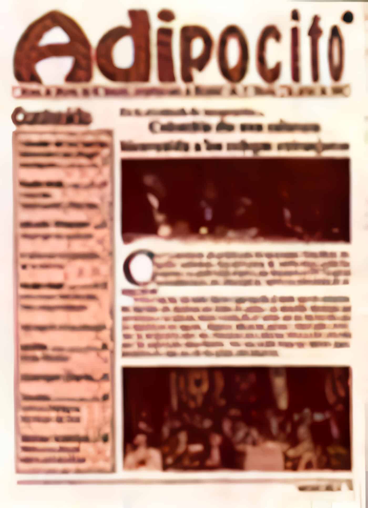 Portada de Adipocito