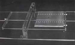 Corridas electroforéticas