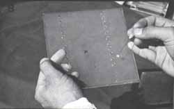 Corridas electroforéticas