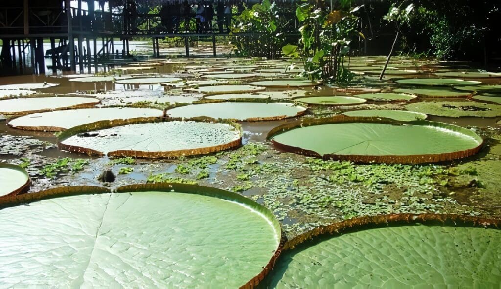 Colombia amplía Zonas de Reserva Natural