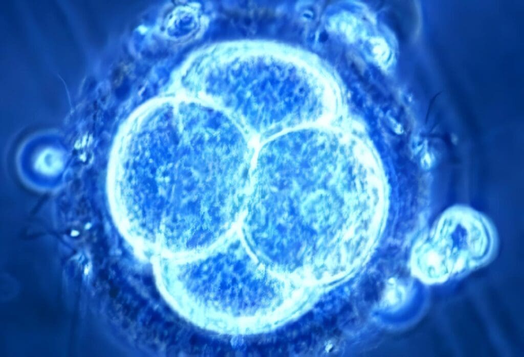 Activación Molecular: Influencia de la Activación Molecular