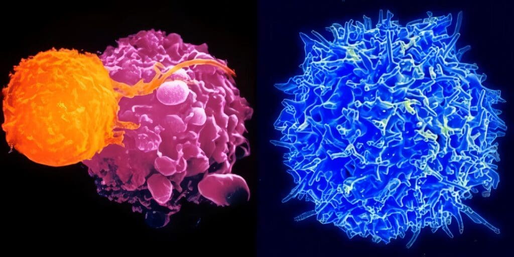 Activación Molecular: Análisis Bio-Físicos – Ultravioleta