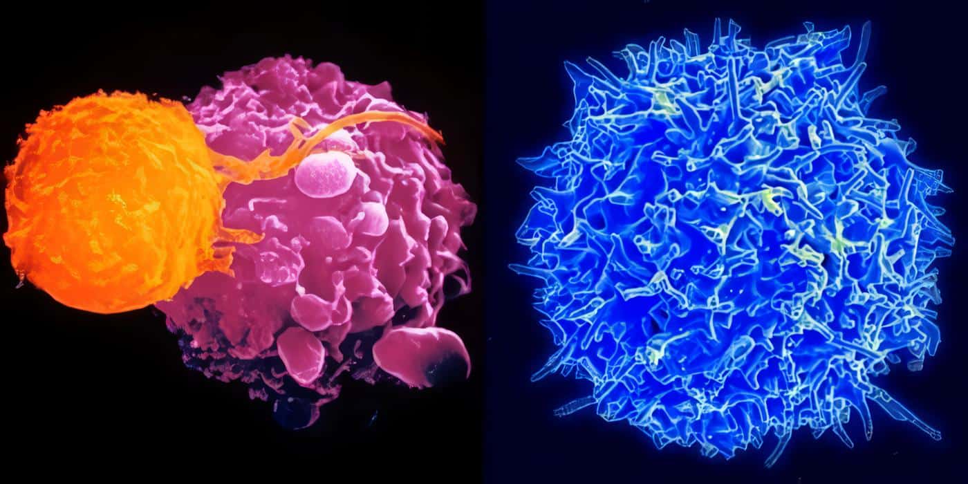 Ultravioleta Activación Molecular