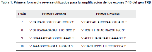Primers forward amplificación de los exones 7-10 del gen TRβ