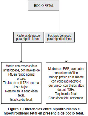 Hipotiroidismo e Hipertiroidismo fetal
