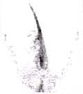 Catageno, Crecimiento del cabello