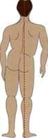 Escoliosis - Dolor Lumbar - Espalda