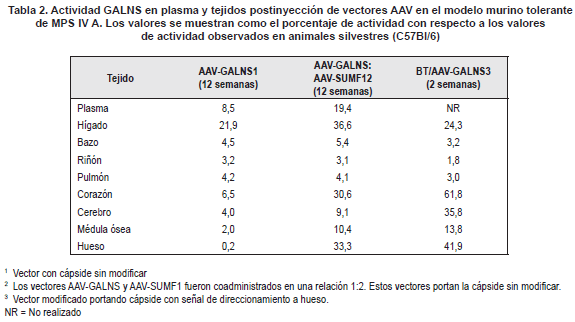 Actividad GALNS en plasma y tejidos postinyección