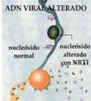 Acción de los NRTI