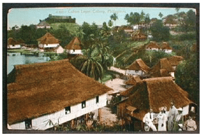 anm102-casas