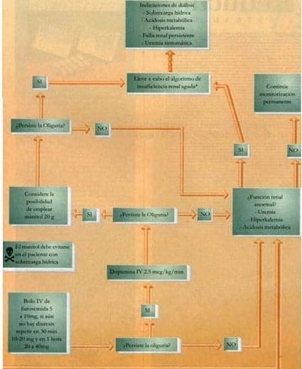 Algoritmos de carga de líquidos